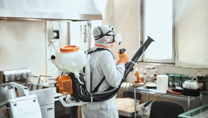 fumigacion-profesional-barcelona.we
